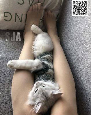 车后座挺进朋友人妻女友-片花高清迅雷在线观看